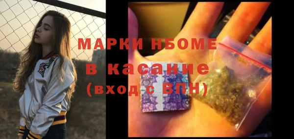 твердый Аркадак