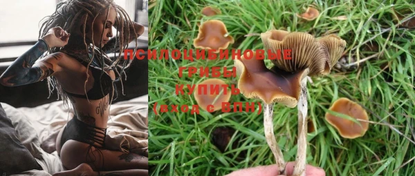 твердый Аркадак