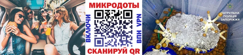Галлюциногенные грибы мицелий  купить наркотик  Спас-Деменск 